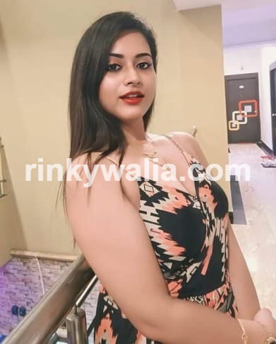 Amritsar Escorts service